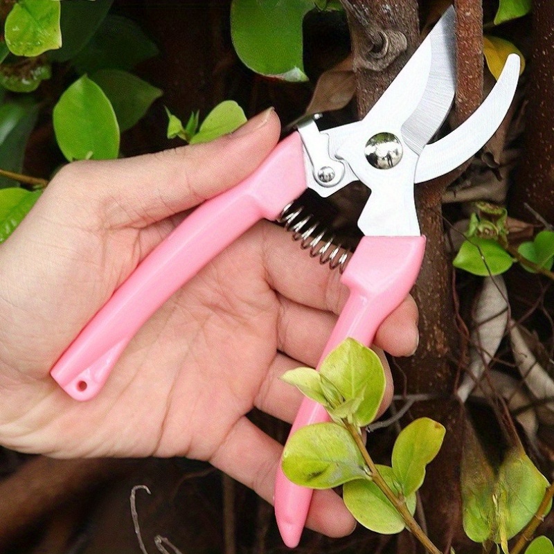 กรรไกรตัดดอกไม้ 2 ชิ้น (สีชมพู - Pinking Shear Blade บทวิจารณ์และราคา
